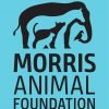 Morris Animal Foundation