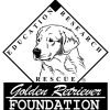 Golden Retriever Foundation