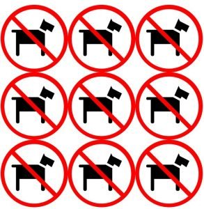No Dogs Allowed Signs
