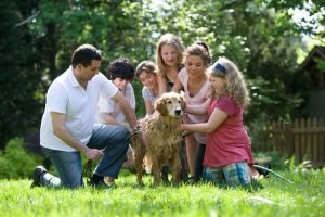 best dog breeds for families