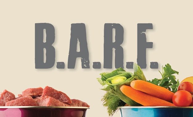 raw dog food