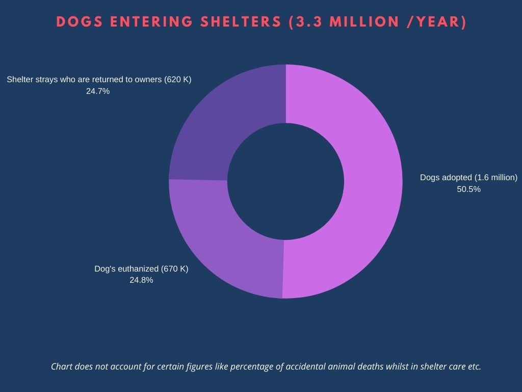 Dogs Entering Shelters Chart