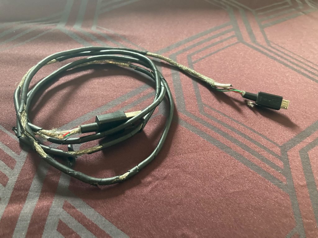 wire chewed by dog. puppy apartment