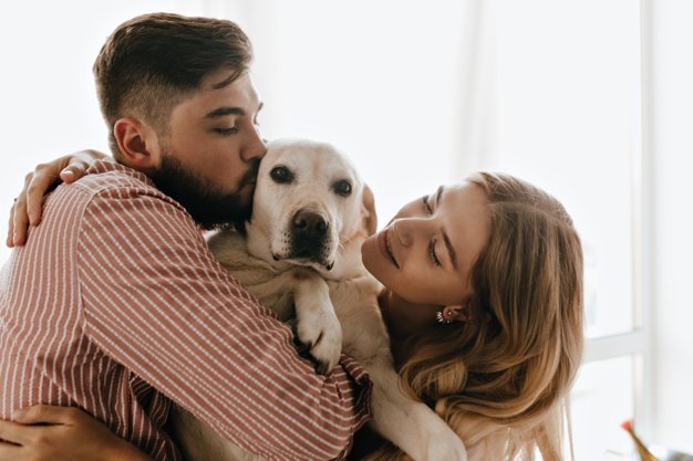 rescue dogs - couple holding their dog