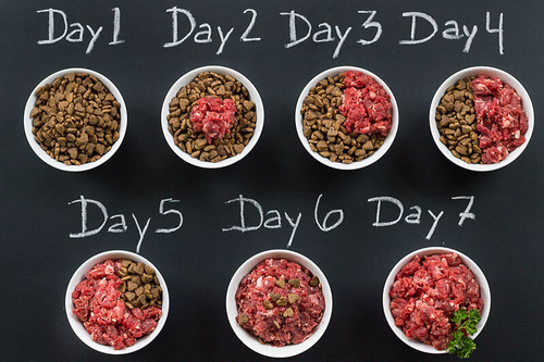 raw dog food diet