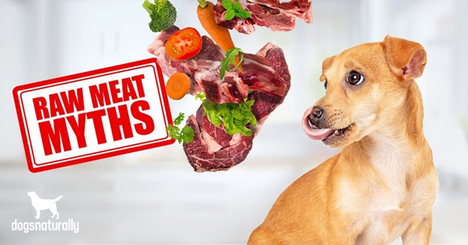 Raw Meat Myths
