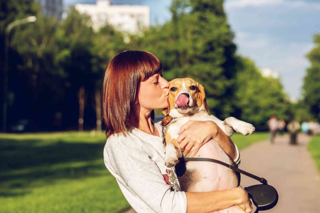 How to Rehome Meaning your dog