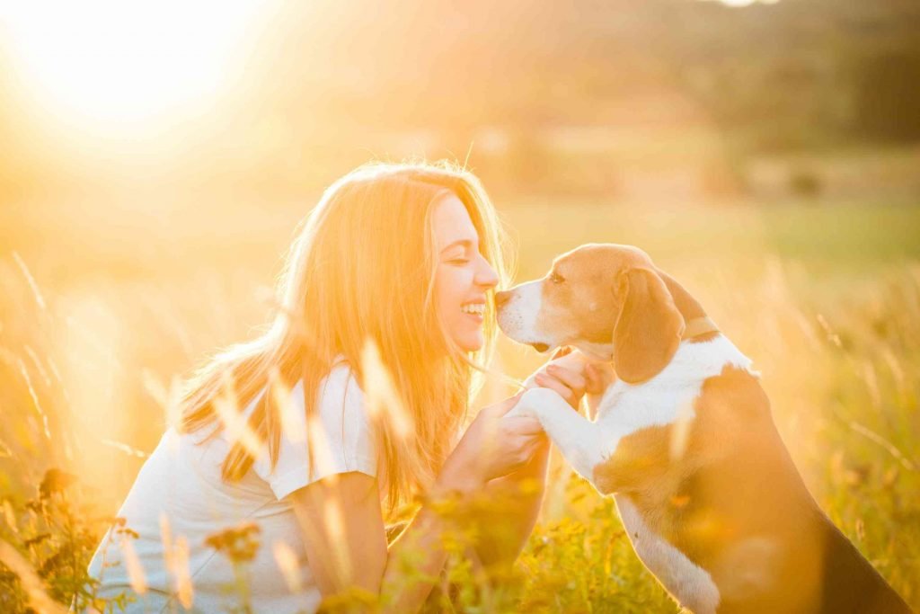 Make a eye poping and real online profile for Rehome Meaning