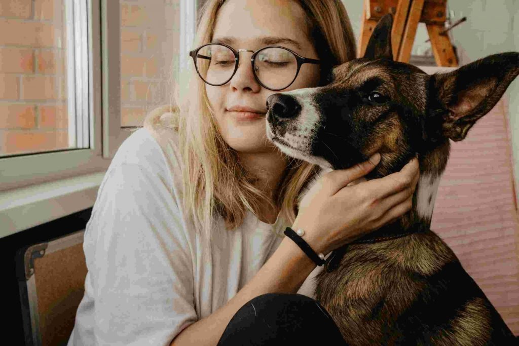 Rehome Meaning your dog through a local foster-based