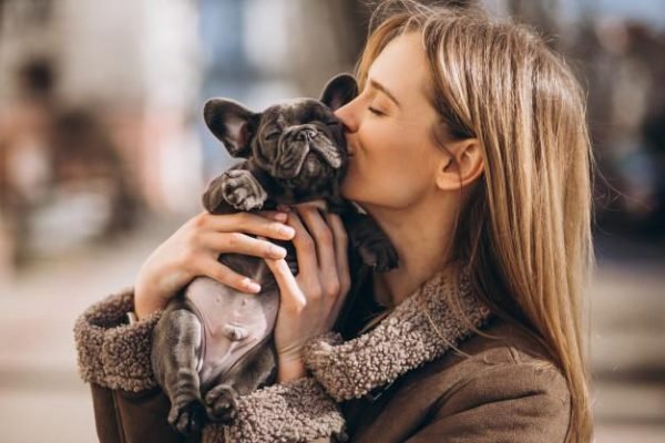 French Bulldog Love, Ruff Ruff, french bulldog free to good home