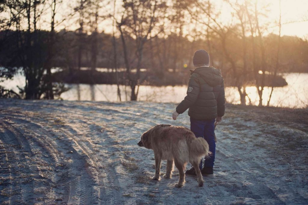 Transportation options to Rehome Meaning your dog.jpg
