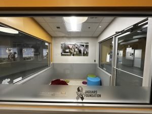 Animal Shelter