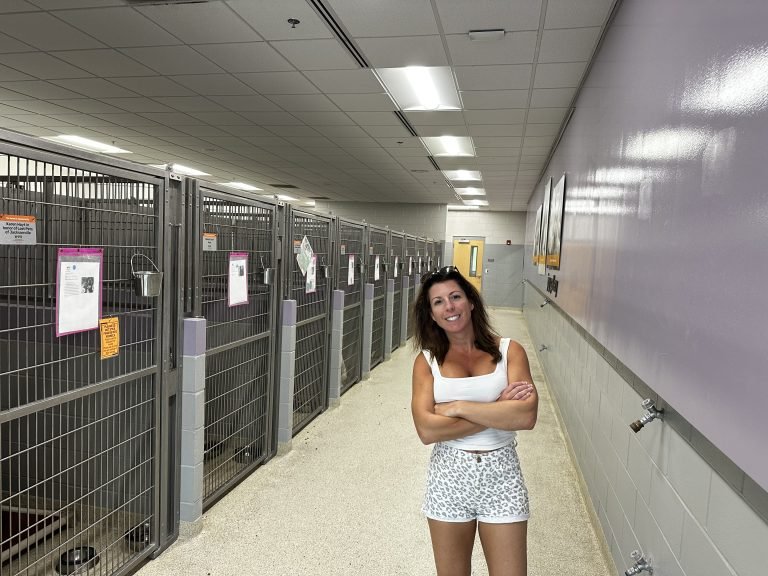 Animal Shelter Jacksonville