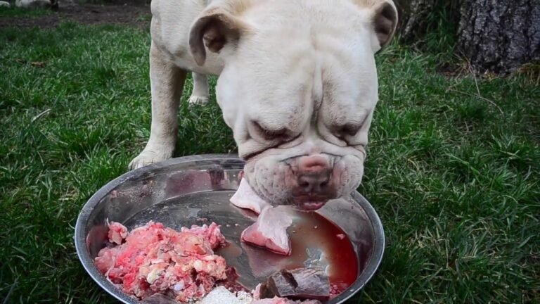 Bulldogs Breed Diet